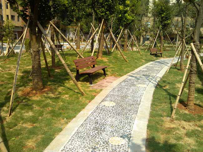 ����ľ�������e��,�������⽡������,�����������e��,���σ�ͯ����,�����\(y��n)��(d��ng)��(ch��ng)��,�L(zh��ng)ɳ�����Ƥ,�L(zh��ng)ɳ�҃�(n��i)���\(y��n)��(d��ng)�ذ�,�L(zh��ng)ɳ���(ch��ng)����,�L(zh��ng)ɳ���⽡������,�L(zh��ng)ɳ�������e��,�L(zh��ng)ɳ��ͯ����,�L(zh��ng)ɳ�\(y��n)��(d��ng)��(ch��ng)��,�L(zh��ng)ɳ�����w����Ʒ���޹�˾