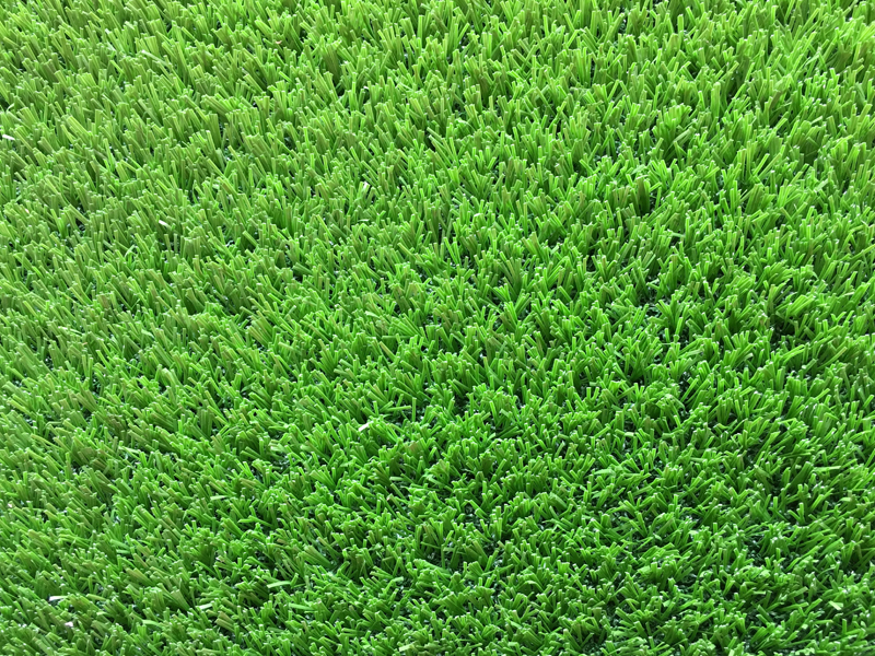 800600�ߏ������ (1).jpg